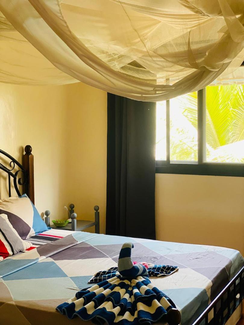 Residence Natangue 1 - Studio Coco Loco Saly エクステリア 写真